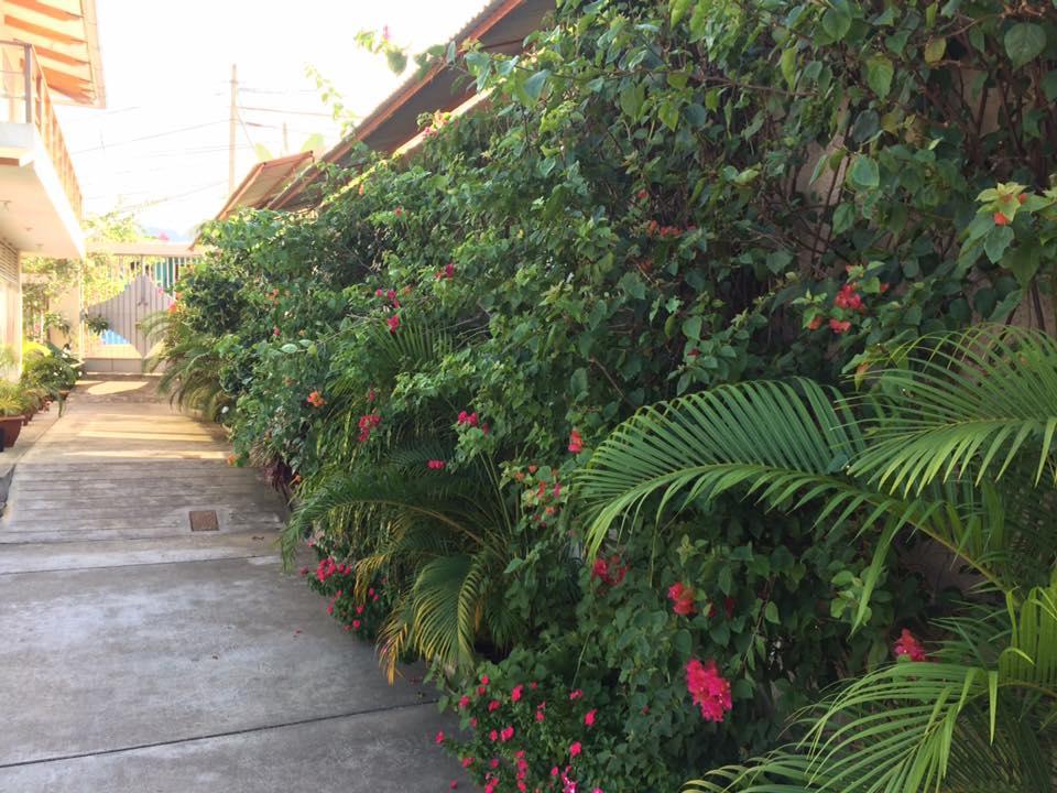La Casa Del Italiano Acomodação com café da manhã Tarapoto Exterior foto